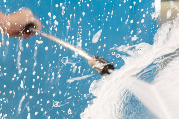 Animal Enclosure Cleaning in Laurel, DE
